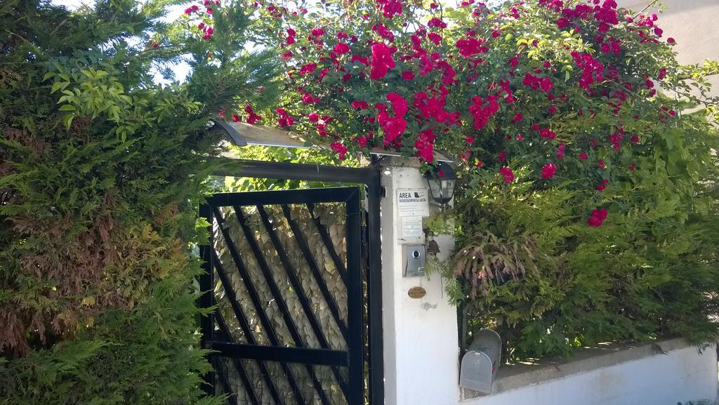 B&B Mare E Sole ブリンディジ エクステリア 写真